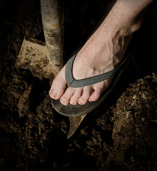 Similar image 1229442