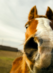 Similar image 1229449