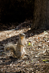 Similar image 1229451