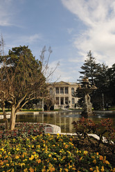 Similar image 1229479