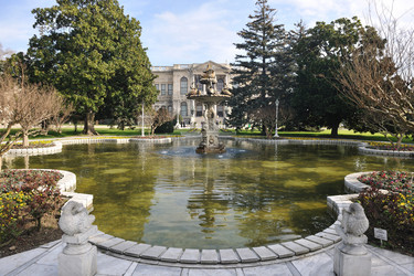 Similar image 1229480