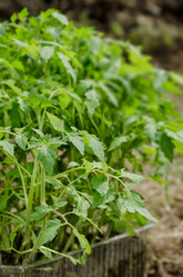 Similar image 1229528