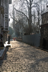 Similar image 1229566