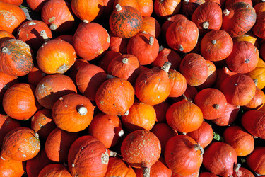 Similar image 1229659