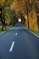 Similar image 1229674