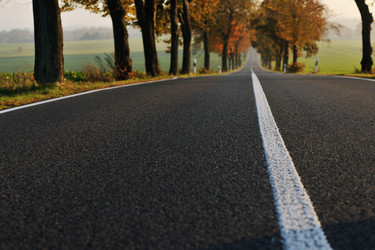 Similar image 1229699