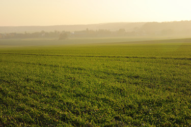 Similar image 1229704