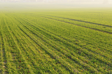 Similar image 1229748