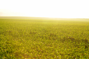 Similar image 1229750