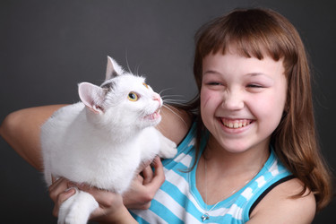 Similar image 1230098