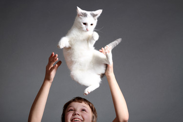 Similar image 1230103