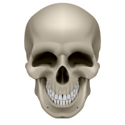 Similar image 1230360