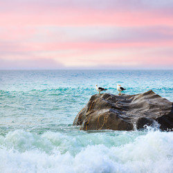 Similar image 1230688