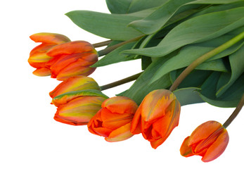 Similar image 1230750