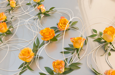 Similar image 1230752