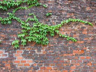 Similar image 1230775