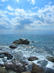 Similar image 1230836