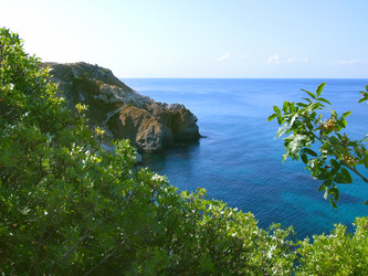 Similar image 1230837