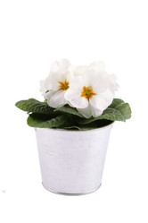 Similar image 1230939