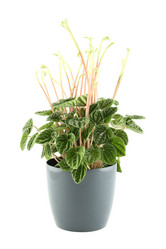 Similar image 1230942