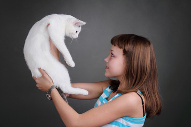 Similar image 1230952