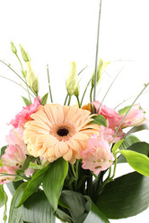 Similar image 1230959