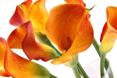 Similar image 1230979