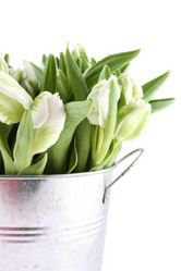 Similar image 1230989