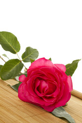 Similar image 1231015