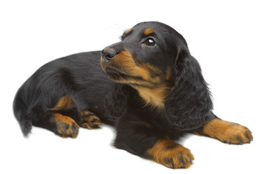 Similar image 1231051