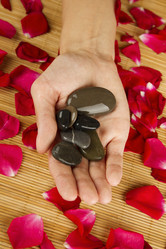 Similar image 1231066