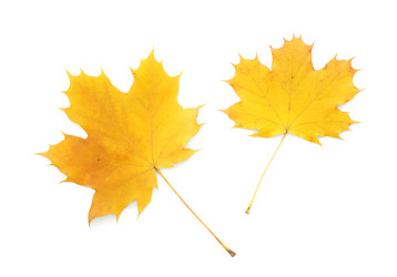 Similar image 1231089