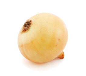 Similar image 1231104