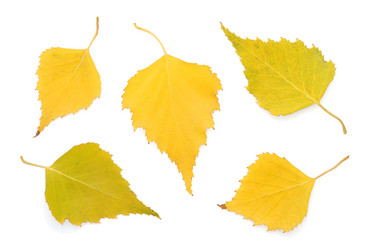 Similar image 1231106