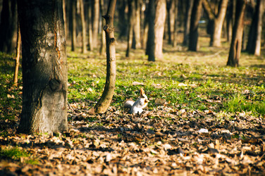 Similar image 1231146