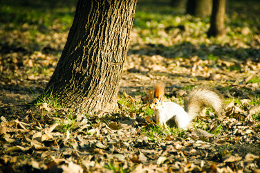 Similar image 1231147