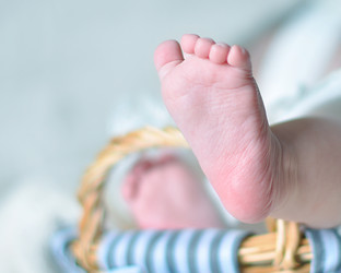 Similar image 1231149