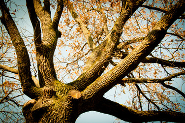 Similar image 1231151