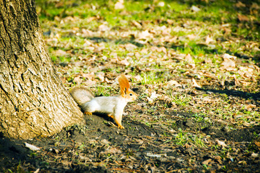 Similar image 1231154