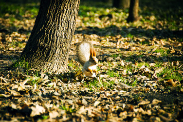 Similar image 1231166