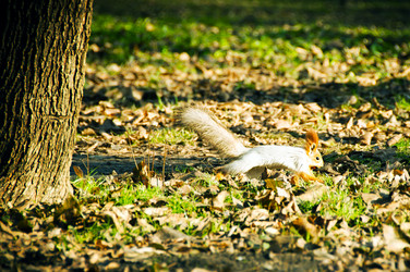 Similar image 1231167