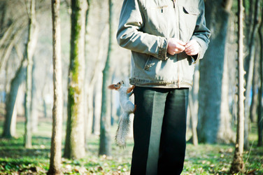 Similar image 1231168