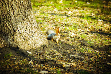 Similar image 1231170