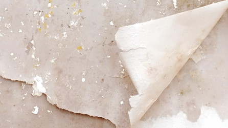 Similar image 1231204