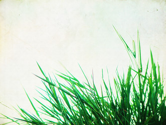 Similar image 1231224