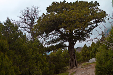 Similar image 1231258