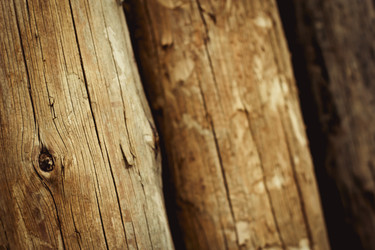 Similar image 1231261