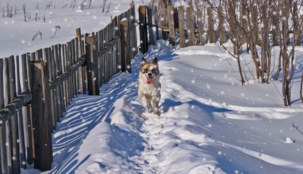 Similar image 1231262