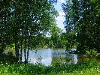 Similar image 1231263