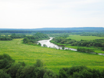 Similar image 1231264